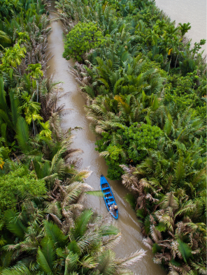Mekong Delta