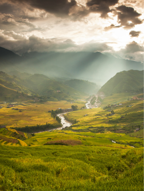 Sapa